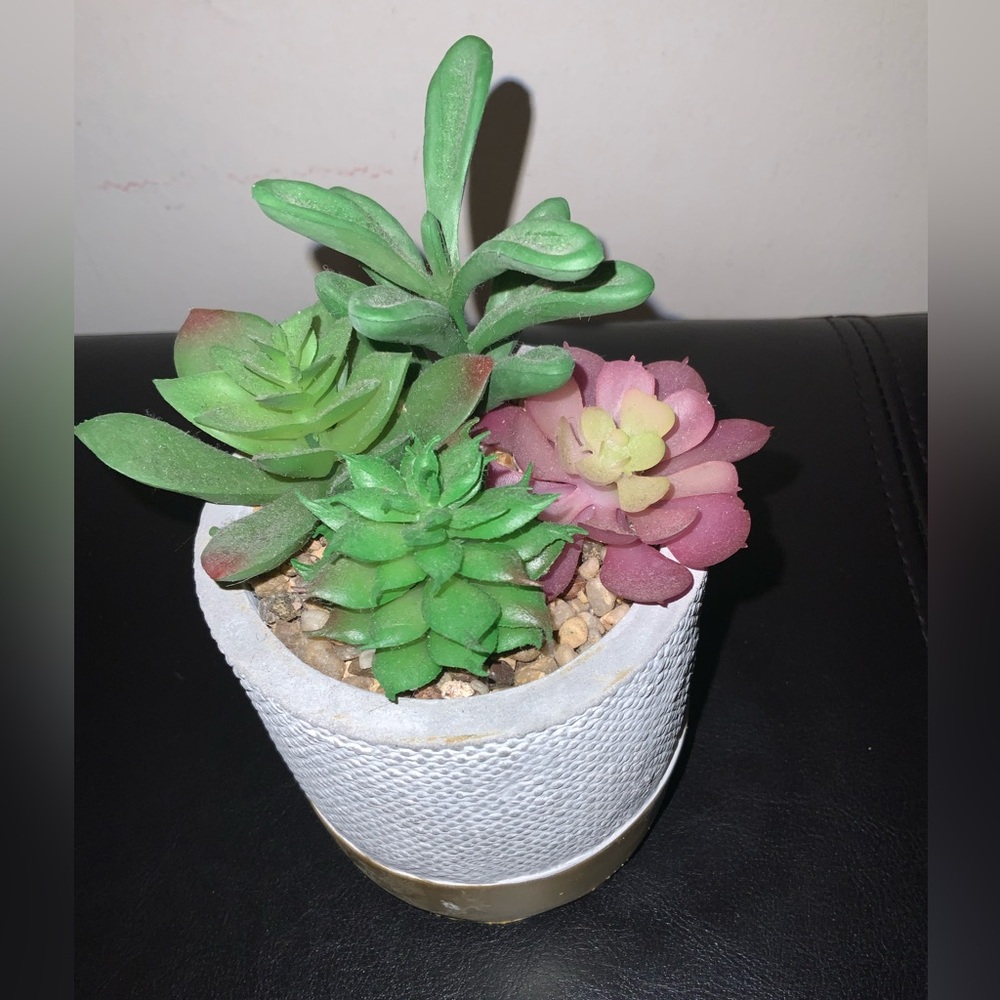🛍️Artificial Decorative Plant🛍️